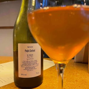 El Pagès Content Orange - Celler La Salada - Toni Carbó 