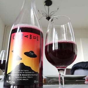 cotabul - Domaine Thuronis - Vigneron Bien Fêteur - Alexandre Coulange & Astrid Lerouxel -2020