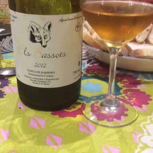 Els Bassots - Celler Escoda Sanahuja - joan-ramon-escoda-martinez