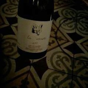 Els Bassots - Celler Escoda Sanahuja - joan-ramon-escoda-martinez