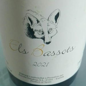 Celler Escoda Sanahuja - Joan Ramón Escoda Martinez - Els Bassots