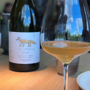 Els Bassotets - Celler Escoda Sanahuja - Joan Ramón Escoda Martinez 