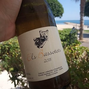 Celler Escoda Sanahuja - Joan Ramón Escoda Martinez - Els Bassotets