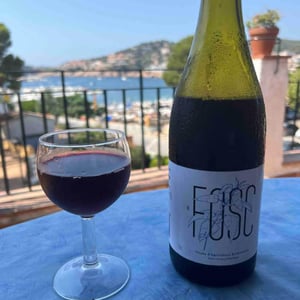 Finca Parera - Rubén Parera Renau - El Fosc
