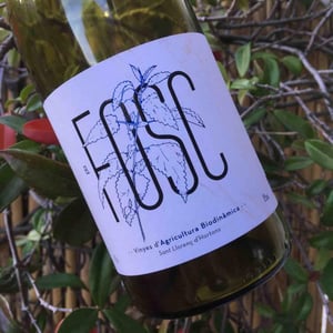 Finca Parera - Rubén Parera Renau - El Fosc