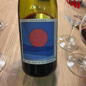 The Dark Side Of The Mourvedre - Hors Ciel - Victor Gourreau & Emma Olson -2021