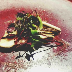 The dish of five senses - 