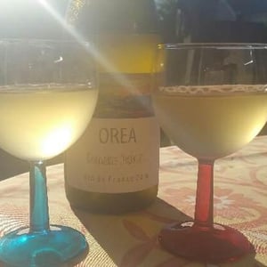 Domaine Inebriati - Victor Beau - Orea
