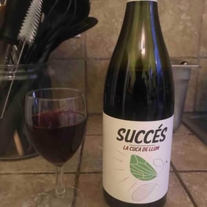 Celler Succés Vinícola - Mariona Vendrell & Albert Canela - La Cuca de Llum