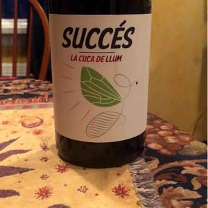 Celler Succés Vinícola - Mariona Vendrell & Albert Canela - La Cuca de Llum