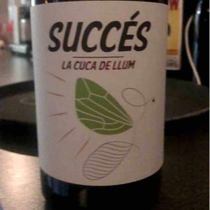 La Cuca de Llum - Celler Succés Vinícola - Mariona Vendrell & Albert Canela 