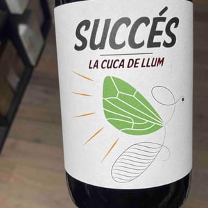 La Cuca de Llum - Celler Succés Vinícola - mariona-vendrell-albert-canela