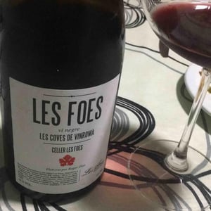 Les Foes - Celler Les Foes - Roger Díaz 