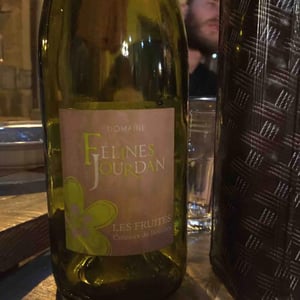 Les Fruites - Feline Jourdan - c-jourdan