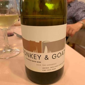 The Gadabout - Donkey & Goat - Jared & Tracey Brandt 