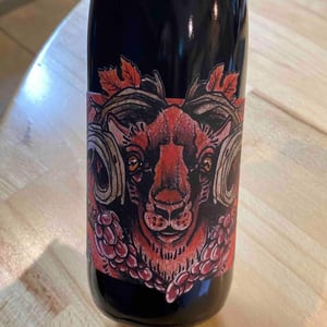 La Geiss - Domaine Muller-Koeberle - David Koeberle 