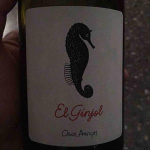 El Ginjol - Mas Pellisser - oriol-artigas