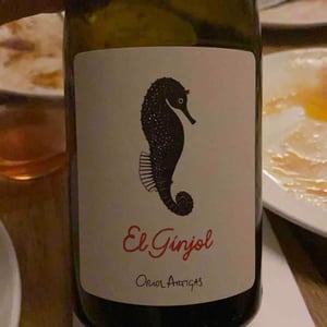 El Ginjol - Mas Pellisser - Oriol Artigas 