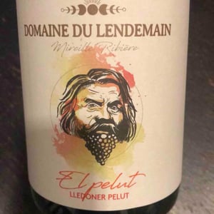 El pelut - Domaine du Lendemain - mireille-ribiere -2021