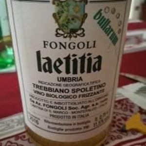 Laetitia Bullarum - Fongoli - angelo-fongoli
