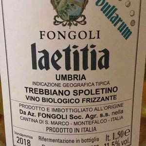 Laetitia Bullarum - Fongoli - angelo-fongoli