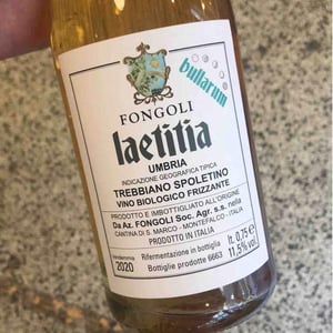 Laetitia Bullarum - Fongoli - Angelo Fongoli 