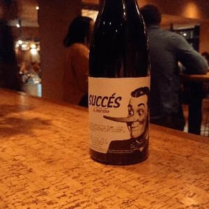 El Mentider 2016 - Celler Succés Vinícola - Mariona Vendrell & Albert Canela