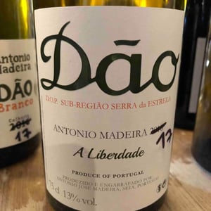 A Liberdade - António Madeira - António Madeira 