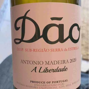 A Liberdade - António Madeira - antonio-madeira