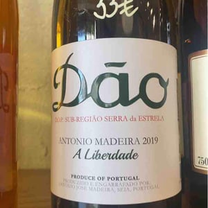 A Liberdade - António Madeira - antonio-madeira