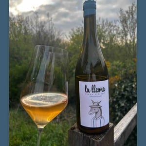 La Lleona - Celler Tanca Els Ulls - francesc-boronat-fernandez