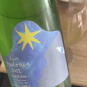 The Litre - Lucas Madonia - Lucas Madonia 