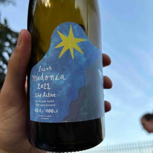 The Litre - Lucas Madonia - Lucas Madonia 