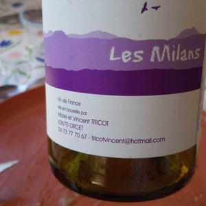 Marie et Vincent Tricot - Vincent et Marie Tricot - Les Milans