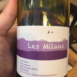 Marie et Vincent Tricot - Vincent et Marie Tricot - Les Milans