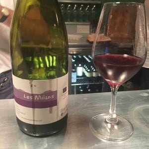 Marie et Vincent Tricot - Vincent et Marie Tricot - Les Milans