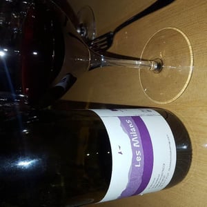Marie et Vincent Tricot - Vincent et Marie Tricot - Les Milans