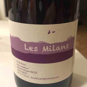 Marie et Vincent Tricot - Vincent et Marie Tricot - Les Milans