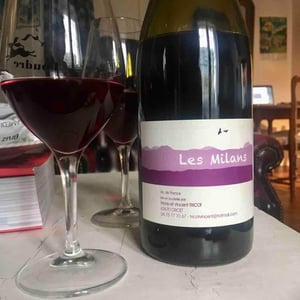 Marie et Vincent Tricot - Vincent et Marie Tricot - Les Milans