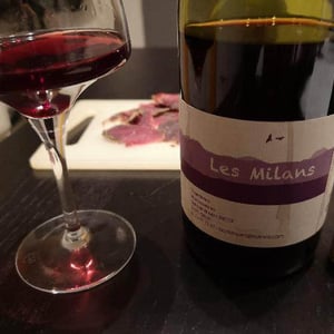 Marie et Vincent Tricot - Vincent et Marie Tricot - Les Milans