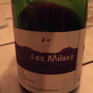 Marie et Vincent Tricot - Vincent et Marie Tricot - Les Milans