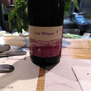 Marie et Vincent Tricot - Vincent et Marie Tricot - Les Milans