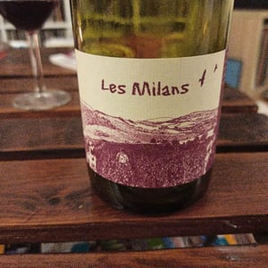 Marie et Vincent Tricot - Vincent et Marie Tricot - Les Milans