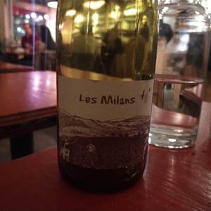 Marie et Vincent Tricot - Vincent et Marie Tricot - Les Milans