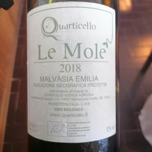 Il Quarticello - Roberto Maestri - Le Mole