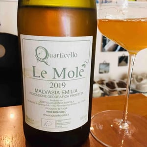 Il Quarticello - Roberto Maestri - Le Mole