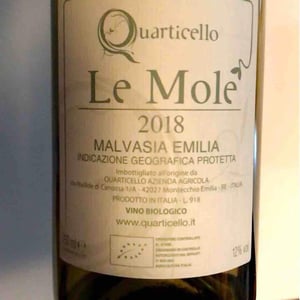 Il Quarticello - Roberto Maestri - Le Mole