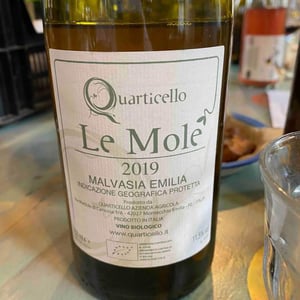 Il Quarticello - Roberto Maestri - Le Mole