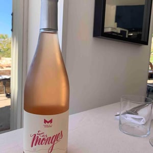Les Monges (Rosé) - Domaine de la Mongestine - maxime-gamard-celine-harry-gozlan