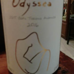 Azienda Agrigola Macchion dei Lupi - Carlo Parenti - Odyssea